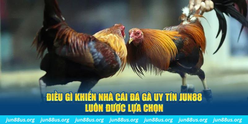 zowin bắn cá 30