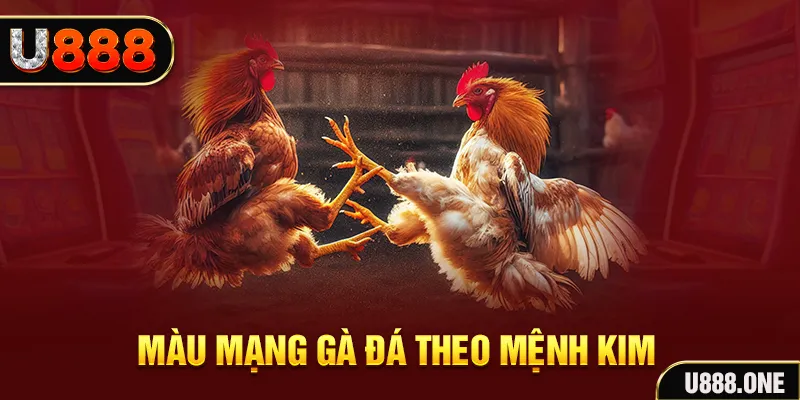 zowin gà chọi tiêu phong