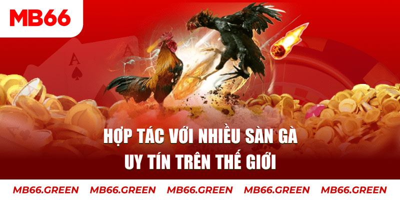 zowin nổ hủ chơi như thế nào