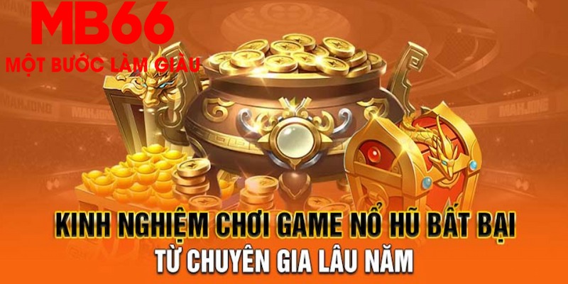 zowin Phi Đội Ưu Tú