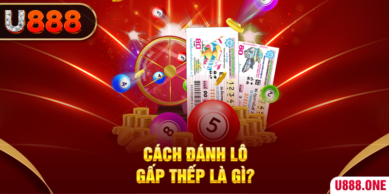 zowin nỗ hủ là gì