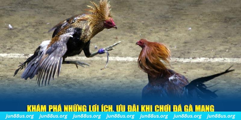 zowin Tài Xỉu 2