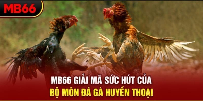 zowin long bảo trong baccarat là gì