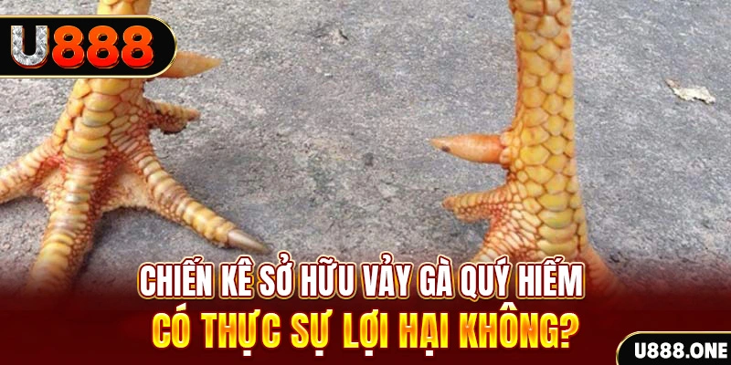 zowin game cá cược máy bay