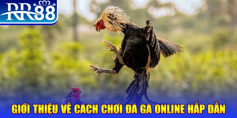 zowin nổ hũ 2 mặt là gì