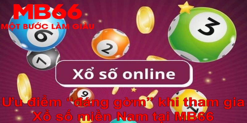 zowin YGR Điện Tử