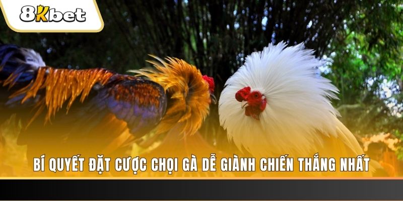 zowin may club nổ hũ