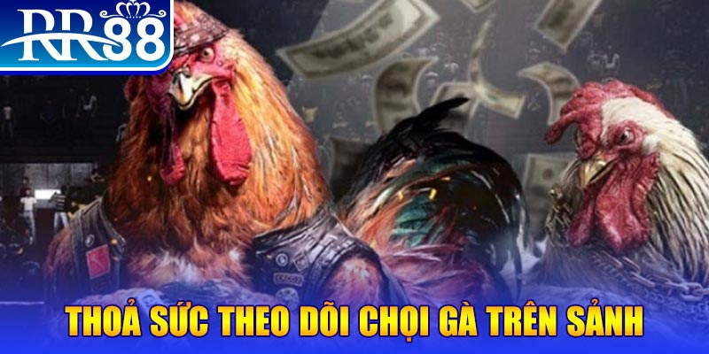 zowin NE Điện Tử