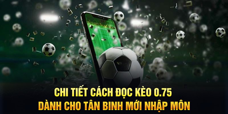 zowin sổ xô miên nam hôm nay