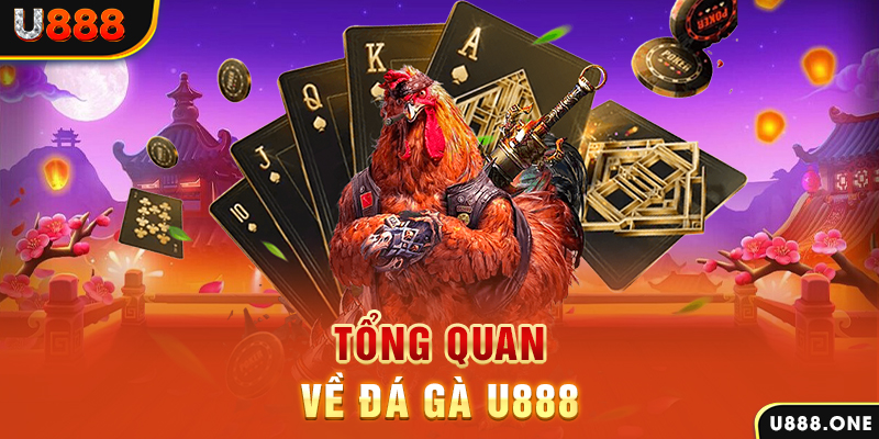zowin chạy quảng cáo cho game bài bị phạt như thế nào