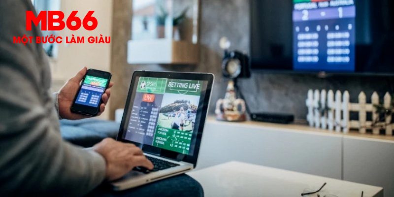 zowin MW Điện Tử